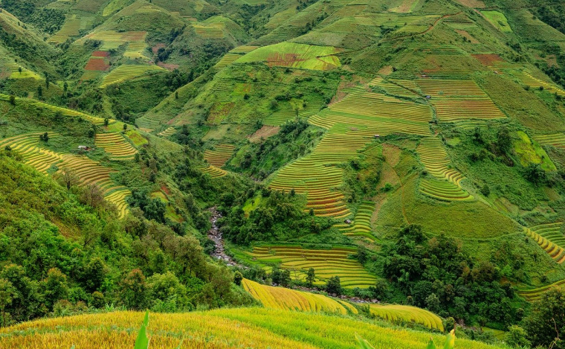 Indonesia dan negara-negara Asia lainnya menghadapi permasalahan serupa dalam mengelola industri agritech