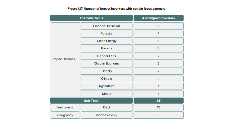 Investing in Impact in Indonesia Report / ANGIN