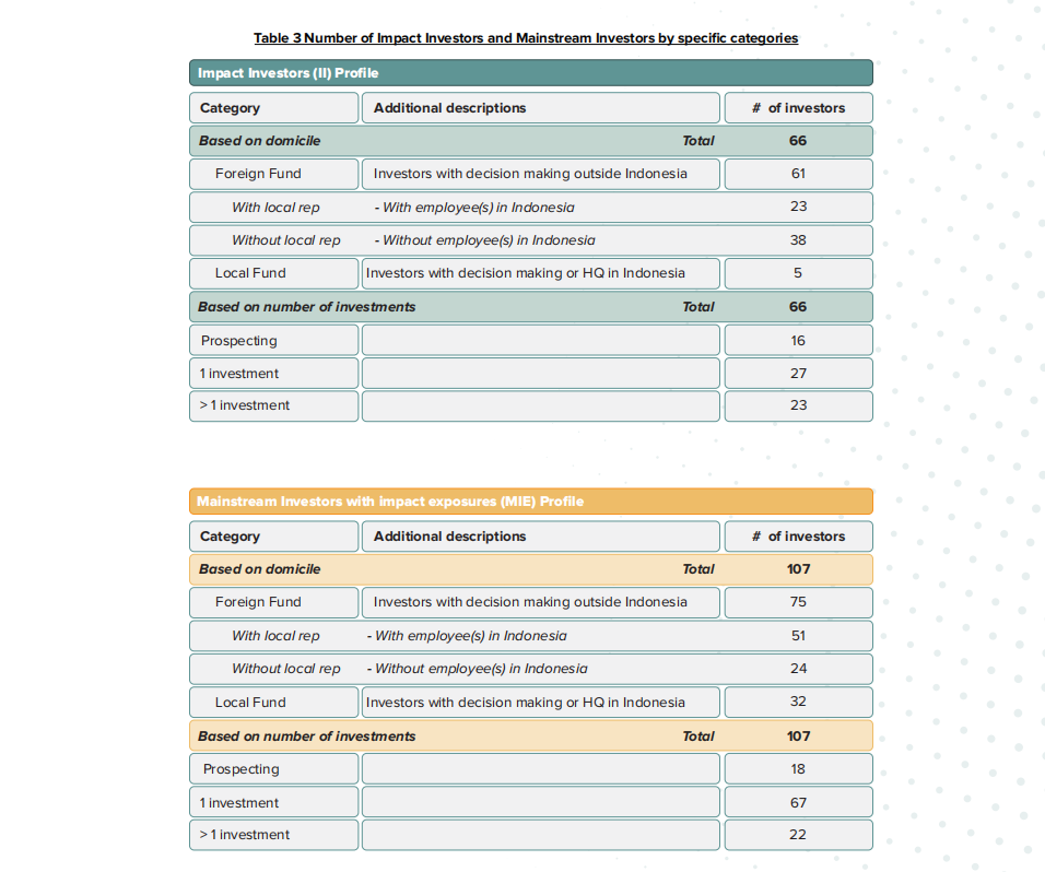 Investing in Impact in Indonesia Report / ANGIN