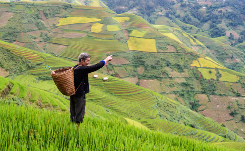 Startup agritech dan aquatech di Indonesia mulai menunjukkan taring / Depositphotos.com