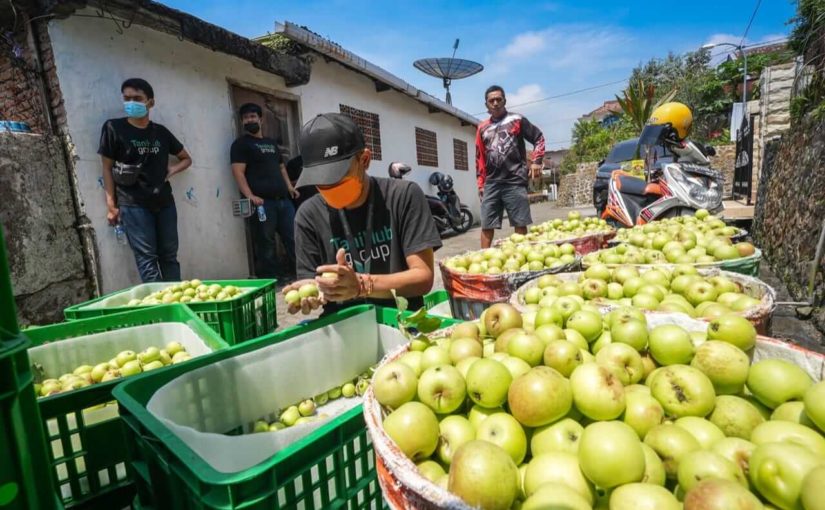 TaniHub memiliki tiga lini bisnis utama, yakni e-commerce, rantai pasokan, dan modal usaha pertanian