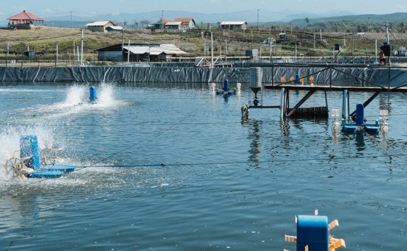 DELOS Aquatech Budidaya Udang