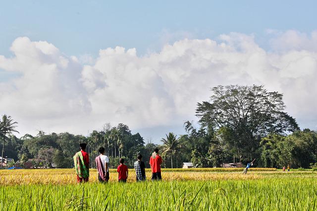 Agridesa ingin memodernisasi para petani berskala kecil di Indonesia melalui ekosistem digital end-to-end / Pixabay