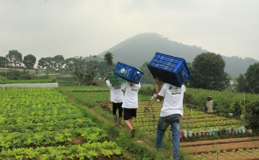 VC Telkomsel Pimpin Pendanaan Pra-Seri B untuk Startup Agritech “EdenFarm” / EdenFarm