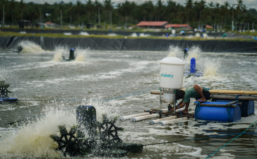 eFishery dikabarkan sebentar lagi merengkuh status startup unicorn