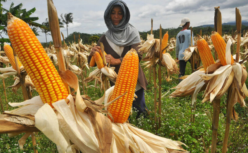 Kora Agritech