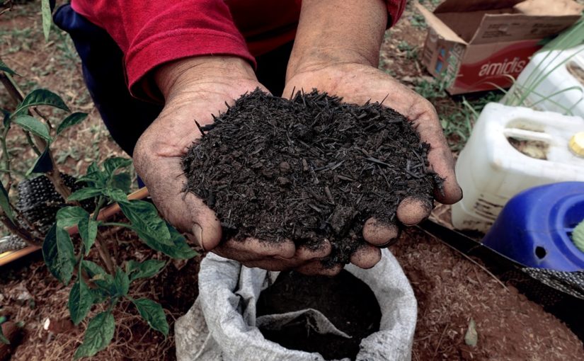 Produk biochar yang dihasilkan Neutura / Neutura